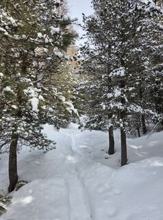 Foto van FABIO MAGLIANO langs de tour
