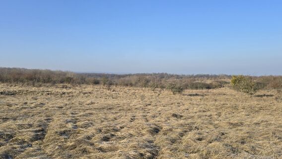 Fotografija s spletne strani Katja Senkel na poti