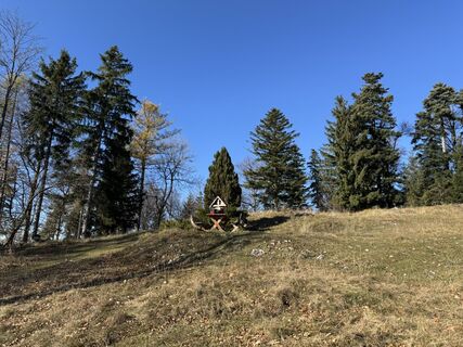 Fotografia z Wolfgang Schroeder na trase