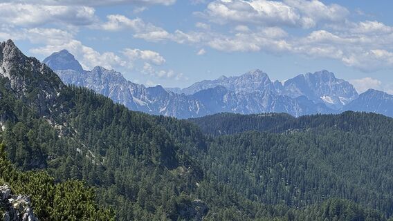 Photo de Brigitta Jencski le long du parcours