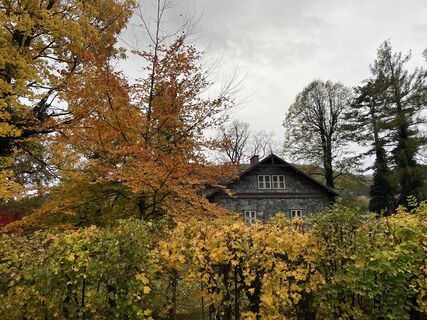 Foto von Valkai Gergely 1 entlang der Tour