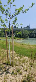 Zdjęcie z Alois-Gerhard Mairitsch wzdłuż trasy