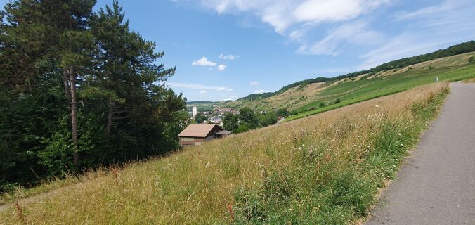 Fotografija s spletne strani Uwe Korella na poti