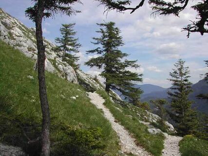 Weißenbach am Attersee - Schoberstein
