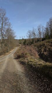 Photo de Gabriele Wagener le long du parcours