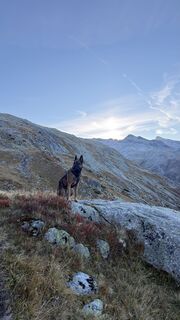 Photo de Lena Ho le long du parcours