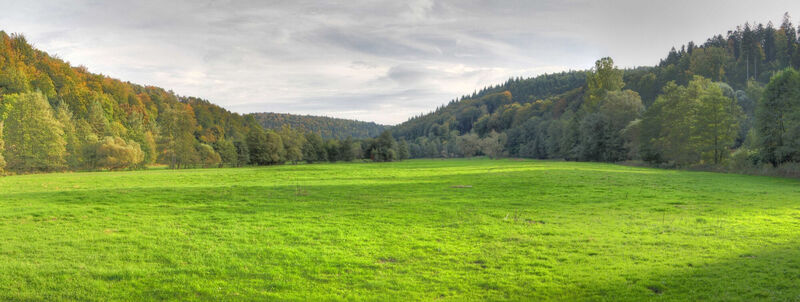 Grünes Moosalbtal