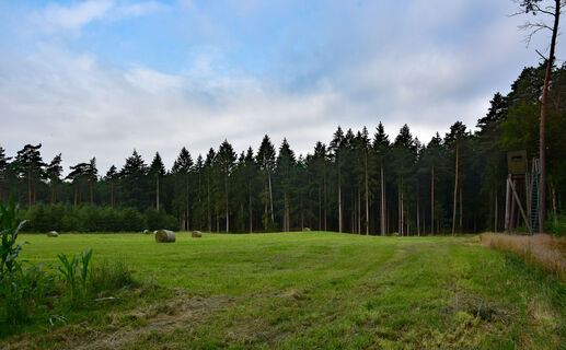 TERRA.track Alkenkuhle