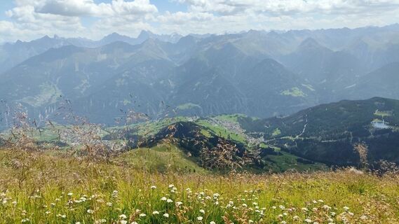 Fotografija s spletne strani Marcel Slagter na poti