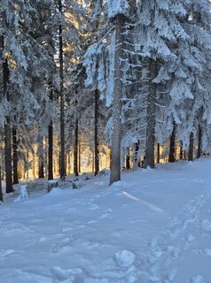 Foto de Patrick Unger a lo largo del recorrido