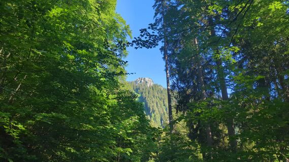 Foto von mukti entlang der Tour