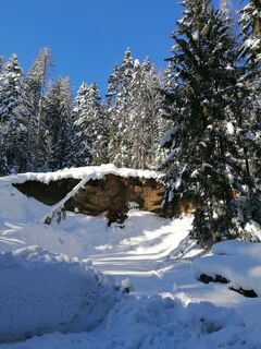 Foto de Dagmar Hofer a lo largo del recorrido