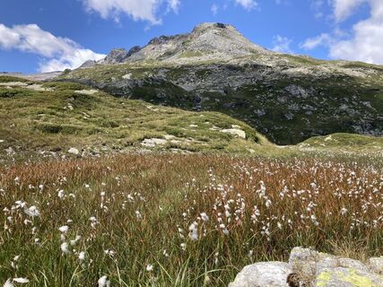 Photo de Marilena Locatelli le long du parcours