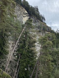 Photo de Daniel Bulfoni le long du parcours