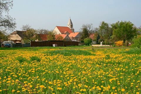 Zu den Schutzpatronen