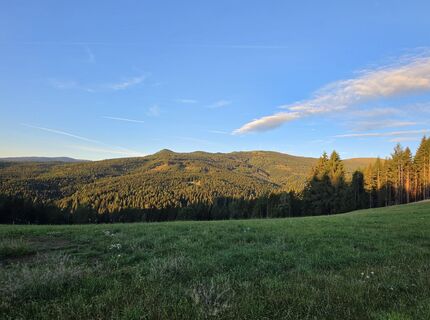 Foto von MRDL entlang der Tour