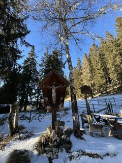 Foto från martina hornik under resans gång