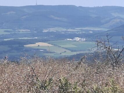 Photo de Georg Meisterjahn le long du parcours