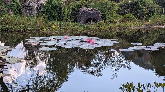 Foto de Ziegler Em1304 a lo largo del recorrido