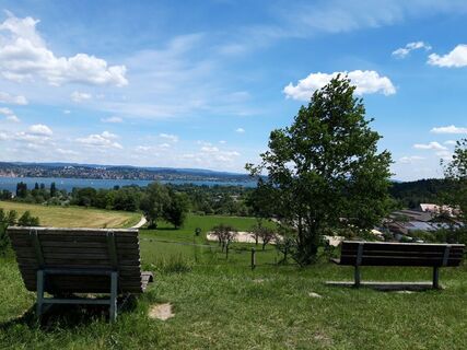 Ruhebank mit Aussicht oberhalb des Ziegelhofs
