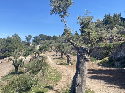Foto de Rainer Pieper a lo largo del recorrido