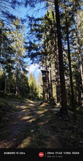 Foto från damilaja242 under resans gång