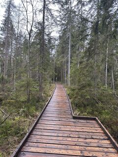 Foto de Babs Holz a lo largo del recorrido