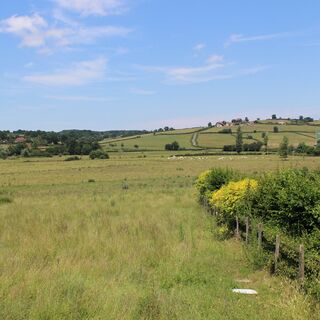 IMG_1765
