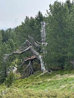 Fotografia z Jürgen Haindler na trase