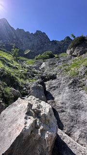 Foto von Mountain Cat ? ⛰️ entlang der Tour