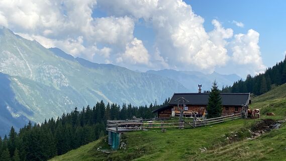 Fotografija s spletne strani Juliane Messner na poti