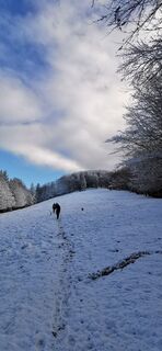 Fotografie de la Klaus Lehner de-a lungul turului