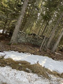 Fotografija s spletne strani Stefan Milchrahm na poti