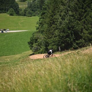 Blue Flowtrail 03