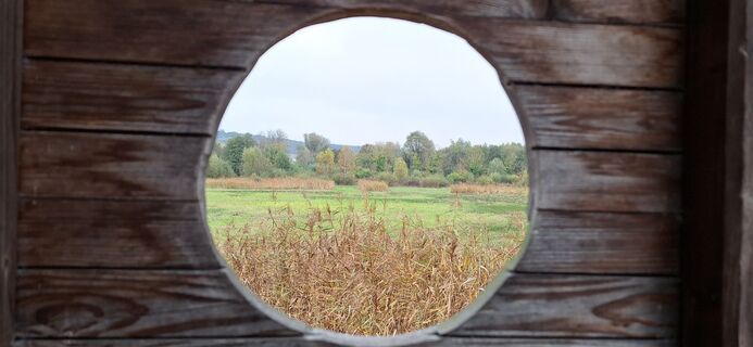 Zdjęcie z Danny Verdonck wzdłuż trasy