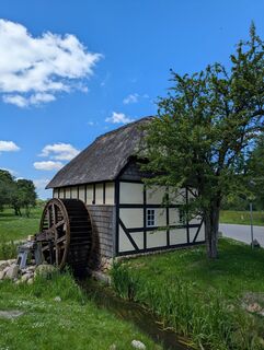 Foto von hochlandfamilie entlang der Tour