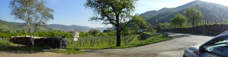 Bacharnsdorf Wanderstart am Sportplatz