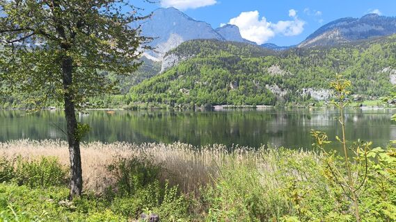 Photo de WilliSt le long du parcours