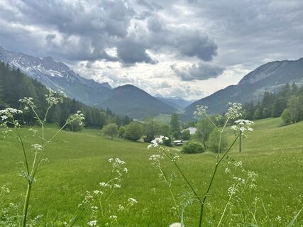 Foto von gdog entlang der Tour