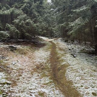 Foto från Steffen Kiesel under resans gång