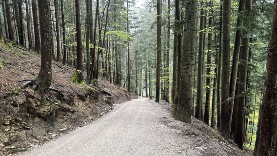 Foto von Peter biro entlang der Tour