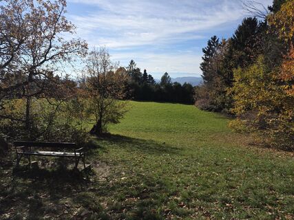 Zdjęcie z Christian Pühringer 1 wzdłuż trasy