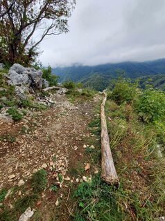 Photo de Neža Veber le long du parcours