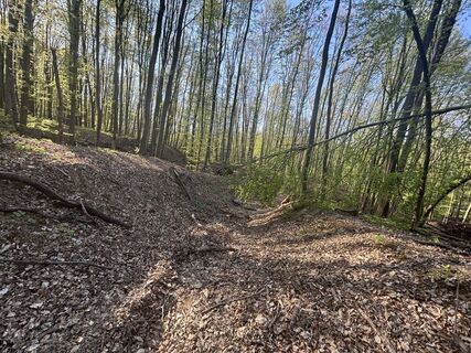 Foto de Reti Alicia a lo largo del recorrido