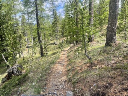 Фото с сайта Olivier meissimilly во время экскурсии