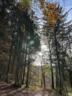 Kuva osoitteesta Norbert Herbig matkan varrella