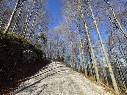 Foto von Denise Miller entlang der Tour