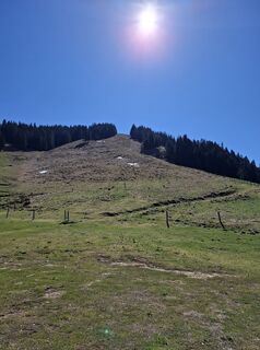 Fotografia z Miha Gros na trase