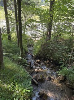 Foto von harry4fun entlang der Tour