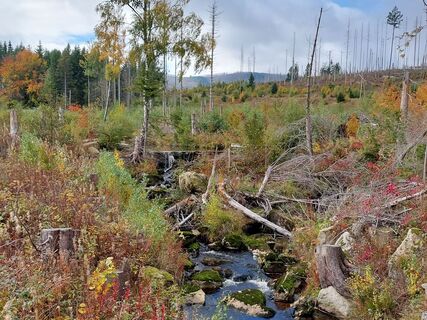 Foto von Jens Gebauer entlang der Tour